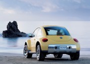 VW New Beetle